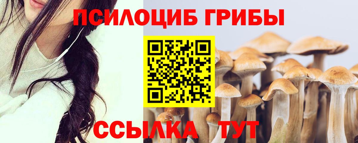 Галлюциногенные грибы прущие грибы  Галлюциногенные грибы MAGIC MUSHROOMS  Вход с VPN  Зеленодольск 